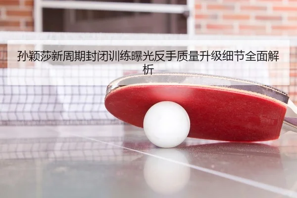 孙颖莎新周期封闭训练曝光反手质量升级细节全面解析